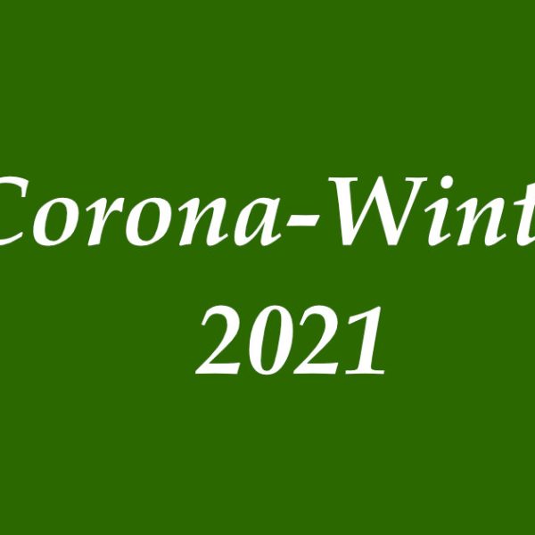 Corona Winter 2021